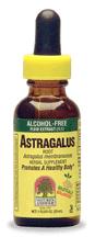 Natures Answer Kosher Astragalus Root Alcohol Free 1 OZ.