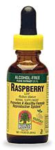 Natures Answer Kosher Red Raspberry Leaf Alcohol Free 1 OZ.