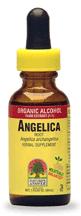 Natures Answer Kosher Angelica Root 1 OZ.