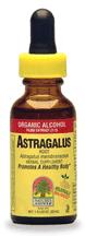 Natures Answer Kosher Astragalus Root 1 OZ.