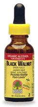 Natures Answer Kosher Black Walnut  1 OZ.