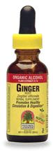 Natures Answer Kosher Ginger Root 2 OZ.