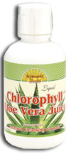 Dynamic Health Kosher Chlorophyll Liquid with Aloe Vera Juice Spearmint Flavor 16 Fl. Oz.