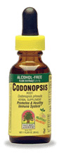 Natures Answer Kosher Codonopsis Root Alcohol Free 1 Oz.