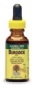 Natures Answer Kosher Burdock Root Alcohol Free 1 OZ.