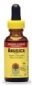 Natures Answer Kosher Angelica Root 1 OZ.