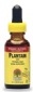 Natures Answer Kosher Plantain Leaf 1 OZ.