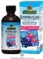 Natures Answer Kosher All Natural Sambucus (nigra) Black Elder Berry Extract - Kids Formula 4 OZ