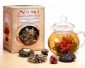 Numi Tea Kosher Dancing Leaves Teapot With Flowering Tea  1 Set