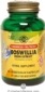 Solgar Kosher SFP Boswellia Resin Extract  60 Vegetable Capsules