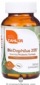 Zahlers Kosher BioDophilus 25B Essential Probiotic Formula 25 Billion Live & Active CFUs 60 Capsules