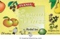 Taanug Kosher Lemon Whizz Herbal Tea  24 Tea Bags