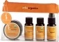 Erbaorganics Mommy Travel Kit 4 Piece 1 Kit