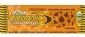 Organic Food Bar Kosher RAW Chocolatey Chocolate Chip 12 Bars