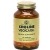 Solgar Kosher Choline * 100 Vegicaps