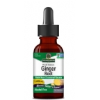 Natures Answer Kosher Ginger Root Alcohol Free 1 OZ.