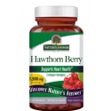 Natures Answer Kosher Hawthorn Berry 1500 Mg 90 Capsules