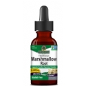 Natures Answer Kosher Marshmallow Root Alcohol Free 2000 Mg 1 fl oz
