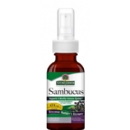 Natures Answer Kosher Sambucus Black Elderberry Extract Spray 540 Mg Alcohol Free 2 OZ
