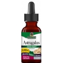 Natures Answer Kosher Astragalus Root 1 OZ.