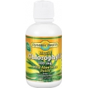 Dynamic Health Kosher Chlorophyll with Aloe Vera Juice Liquid Spearmint Flavor 16 fl oz