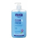 Dr. Fischer Kosher Kamil Clean And Fresh Soapless Hand Soap - Passover 33.8 fl oz