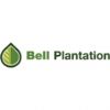 Bell Plantation