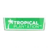 Tropical Plantation